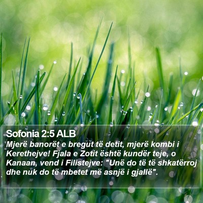 Sofonia 2:5 ALB Bible Verse Image