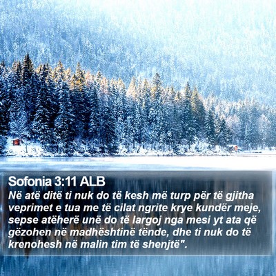 Sofonia 3:11 ALB Bible Verse Image