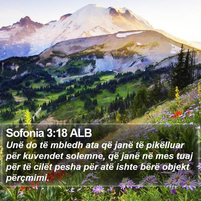 Sofonia 3:18 ALB Bible Verse Image