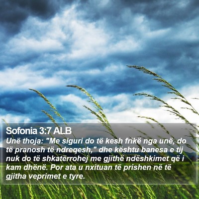 Sofonia 3:7 ALB Bible Verse Image