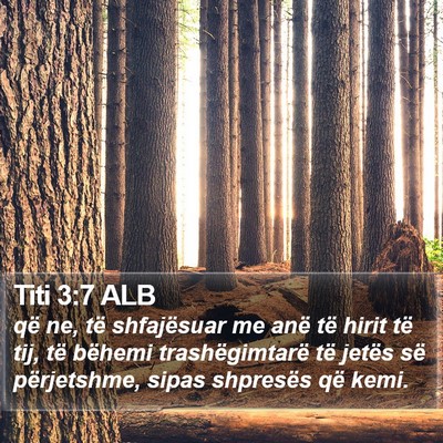 Titi 3:7 ALB Bible Verse Image