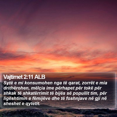 Vajtimet 2:11 ALB Bible Verse Image