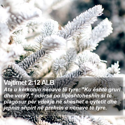 Vajtimet 2:12 ALB Bible Verse Image