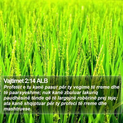 Vajtimet 2:14 ALB Bible Verse Image