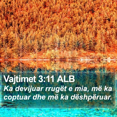 Vajtimet 3:11 ALB Bible Verse Image
