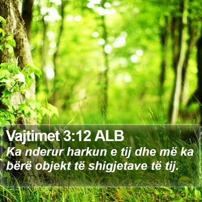Vajtimet 3:12 ALB Bible Verse Image