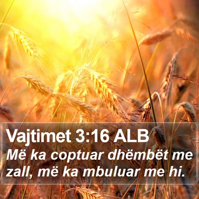 Vajtimet 3:16 ALB Bible Verse Image