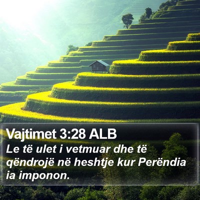 Vajtimet 3:28 ALB Bible Verse Image
