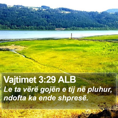 Vajtimet 3:29 ALB Bible Verse Image