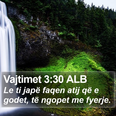 Vajtimet 3:30 ALB Bible Verse Image