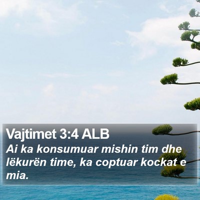 Vajtimet 3:4 ALB Bible Verse Image