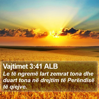 Vajtimet 3:41 ALB Bible Verse Image