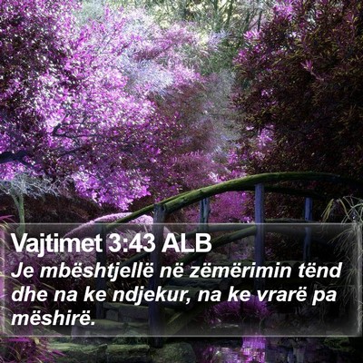 Vajtimet 3:43 ALB Bible Verse Image