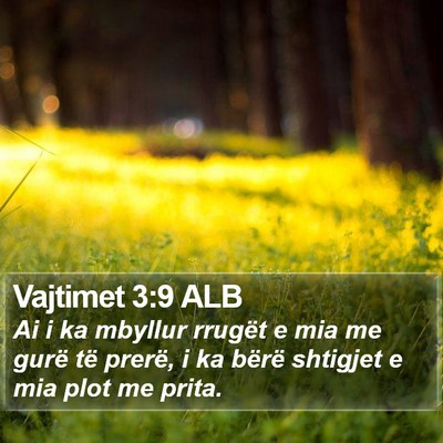 Vajtimet 3:9 ALB Bible Verse Image