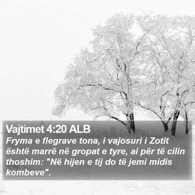 Vajtimet 4:20 ALB Bible Verse Image