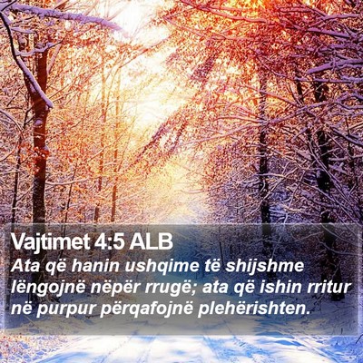 Vajtimet 4:5 ALB Bible Verse Image