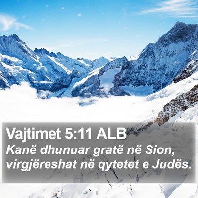 Vajtimet 5:11 ALB Bible Verse Image
