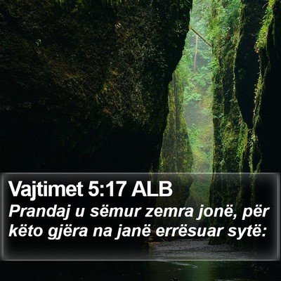 Vajtimet 5:17 ALB Bible Verse Image