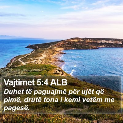 Vajtimet 5:4 ALB Bible Verse Image