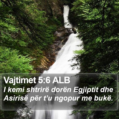 Vajtimet 5:6 ALB Bible Verse Image