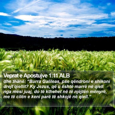 Veprat e Apostujve 1:11 ALB Bible Verse Image
