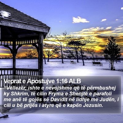 Veprat e Apostujve 1:16 ALB Bible Verse Image