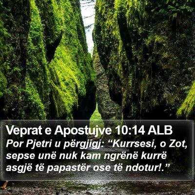 Veprat e Apostujve 10:14 ALB Bible Verse Image