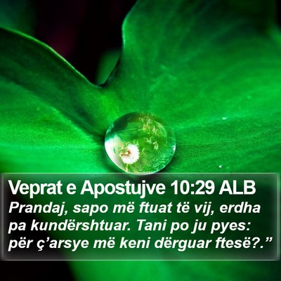 Veprat e Apostujve 10:29 ALB Bible Verse Image