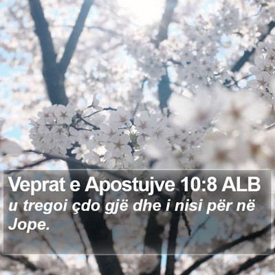 Veprat e Apostujve 10:8 ALB Bible Verse Image
