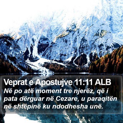 Veprat e Apostujve 11:11 ALB Bible Verse Image