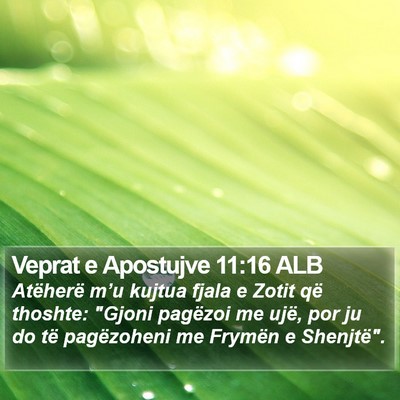 Veprat e Apostujve 11:16 ALB Bible Verse Image