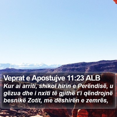 Veprat e Apostujve 11:23 ALB Bible Verse Image