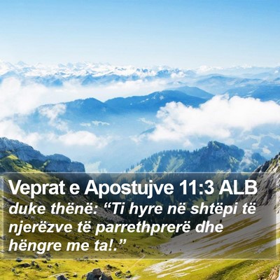 Veprat e Apostujve 11:3 ALB Bible Verse Image