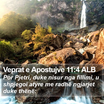 Veprat e Apostujve 11:4 ALB Bible Verse Image