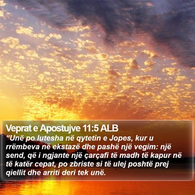 Veprat e Apostujve 11:5 ALB Bible Verse Image