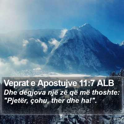 Veprat e Apostujve 11:7 ALB Bible Verse Image