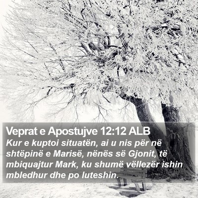 Veprat e Apostujve 12:12 ALB Bible Verse Image