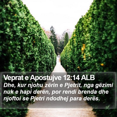 Veprat e Apostujve 12:14 ALB Bible Verse Image