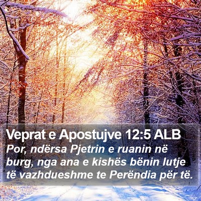 Veprat e Apostujve 12:5 ALB Bible Verse Image