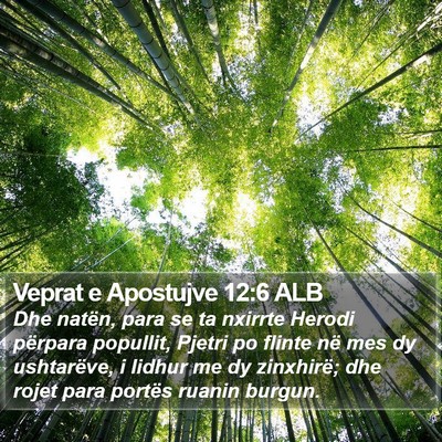 Veprat e Apostujve 12:6 ALB Bible Verse Image