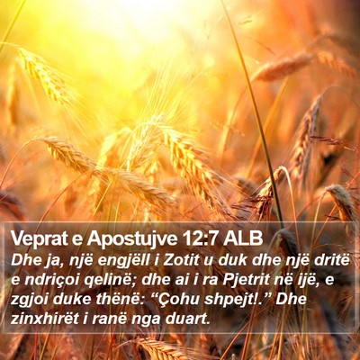 Veprat e Apostujve 12:7 ALB Bible Verse Image