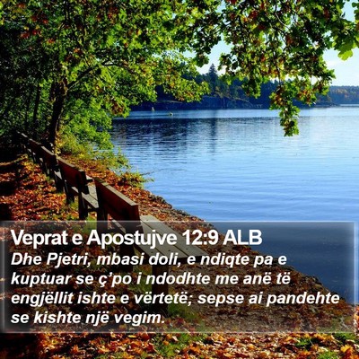 Veprat e Apostujve 12:9 ALB Bible Verse Image