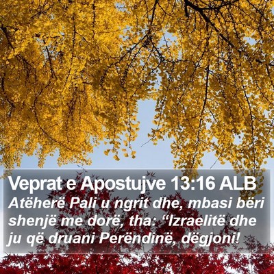 Veprat e Apostujve 13:16 ALB Bible Verse Image