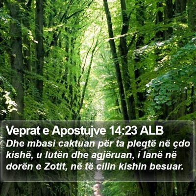 Veprat e Apostujve 14:23 ALB Bible Verse Image