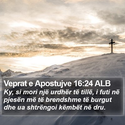 Veprat e Apostujve 16:24 ALB Bible Verse Image