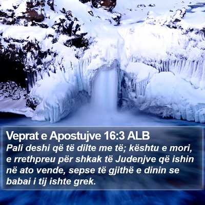 Veprat e Apostujve 16:3 ALB Bible Verse Image