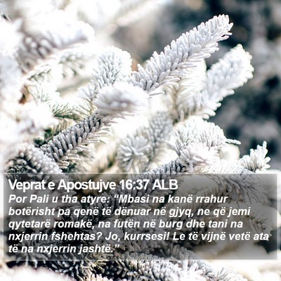 Veprat e Apostujve 16:37 ALB Bible Verse Image
