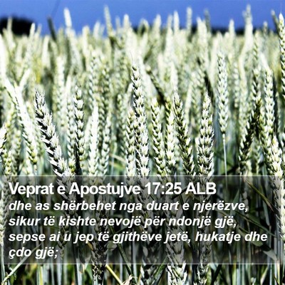 Veprat e Apostujve 17:25 ALB Bible Verse Image