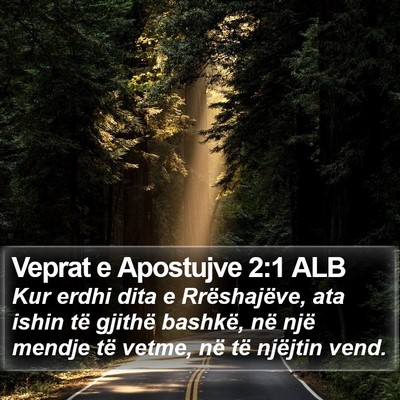Veprat e Apostujve 2:1 ALB Bible Verse Image