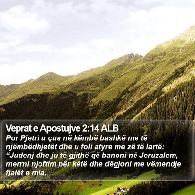 Veprat e Apostujve 2:14 ALB Bible Verse Image